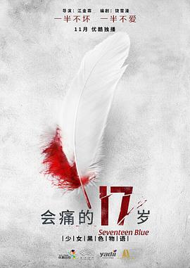 会痛的17岁第16集